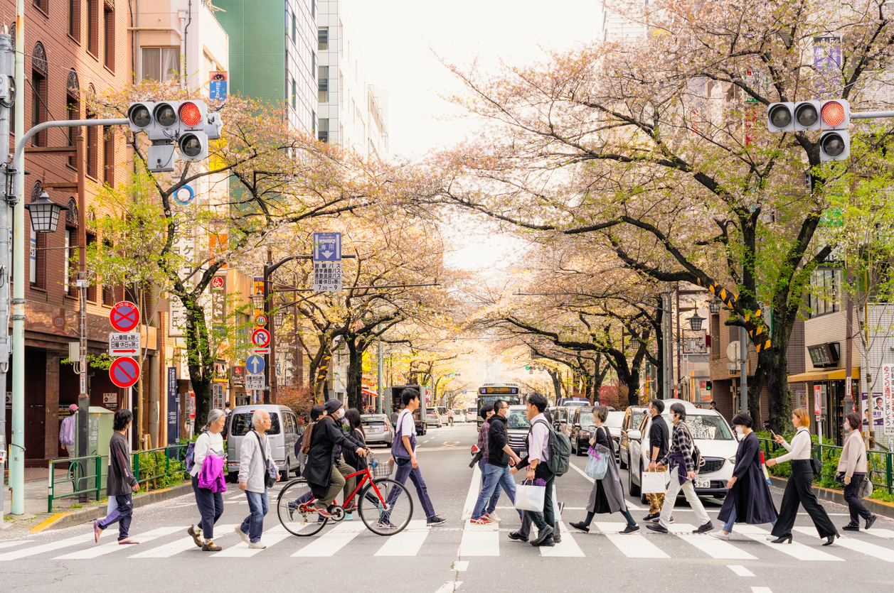 Tokyo Coffee 4.jpg Tokyo Coffee 4.jpg